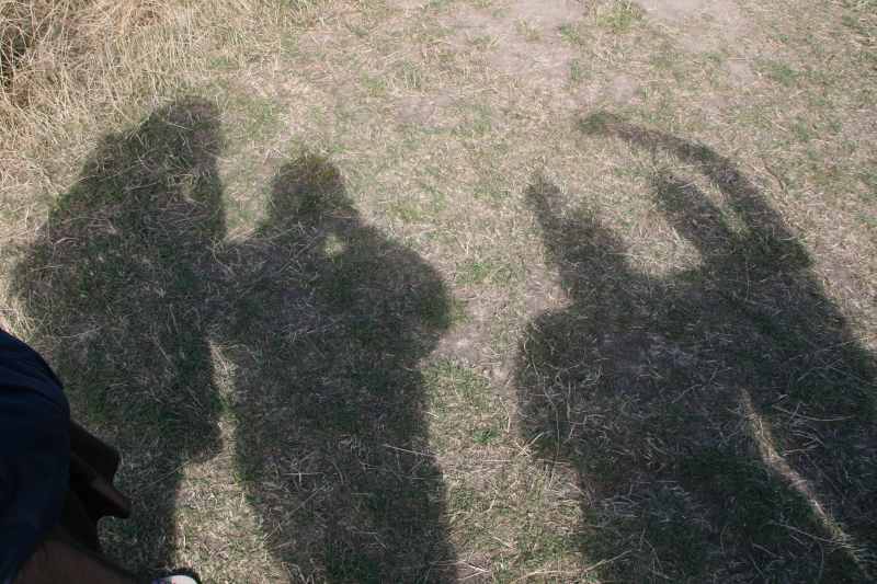 Nieuw-Zeeland 2011 - 1142